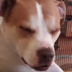 Meet your Posher, Logan